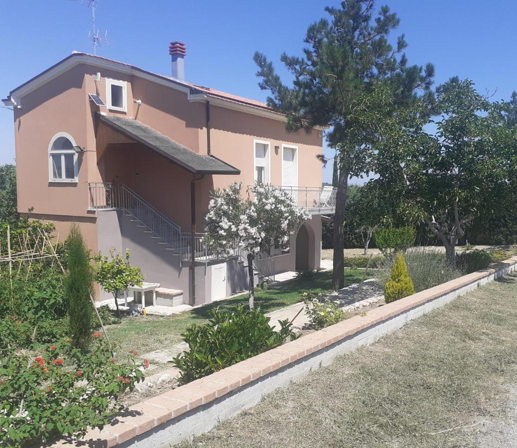 Villa Nonno Nicola Монтенеро-ди-Бизачча Экстерьер фото