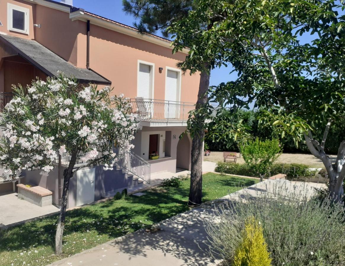 Villa Nonno Nicola Монтенеро-ди-Бизачча Экстерьер фото