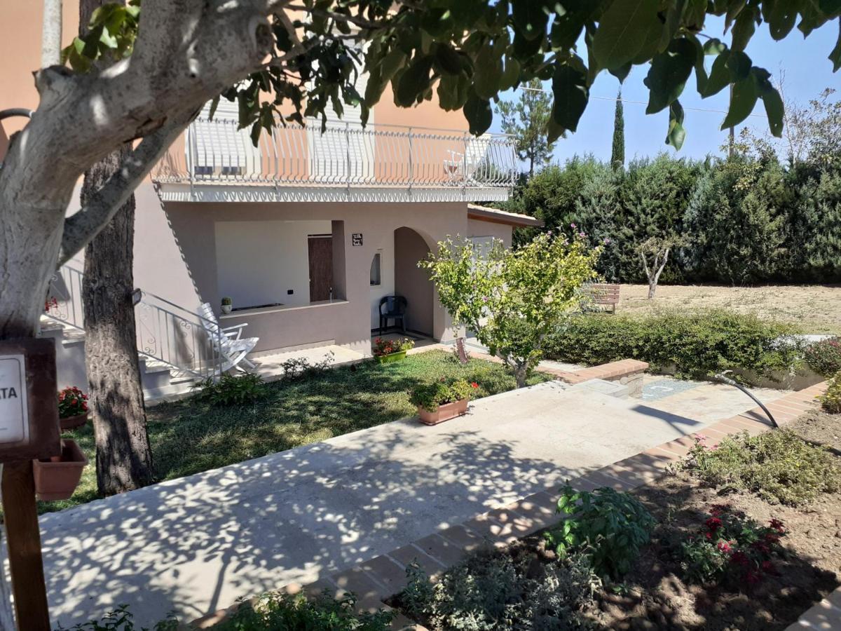 Villa Nonno Nicola Монтенеро-ди-Бизачча Экстерьер фото
